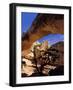 Pinyon Pine Below Hickman Bridge, Capitol Reef National Park, Utah, USA-Scott T. Smith-Framed Photographic Print