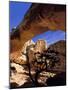 Pinyon Pine Below Hickman Bridge, Capitol Reef National Park, Utah, USA-Scott T. Smith-Mounted Photographic Print