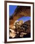 Pinyon Pine Below Hickman Bridge, Capitol Reef National Park, Utah, USA-Scott T. Smith-Framed Photographic Print