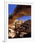 Pinyon Pine Below Hickman Bridge, Capitol Reef National Park, Utah, USA-Scott T. Smith-Framed Photographic Print