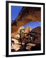 Pinyon Pine Below Hickman Bridge, Capitol Reef National Park, Utah, USA-Scott T. Smith-Framed Photographic Print