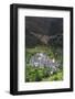 Piodao Village, Serra Da Estrela, Coimbra District, Portugal, Europe-Alex Robinson-Framed Photographic Print