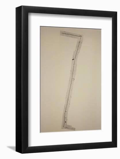 Pion-muon-electron (pi-mu-e) Decay Chain-C. Powell-Framed Photographic Print