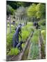 Pioneer Gardener Statue in Brigham Young Historic Park, Salt Lake City, Utah, USA-Richard Cummins-Mounted Photographic Print