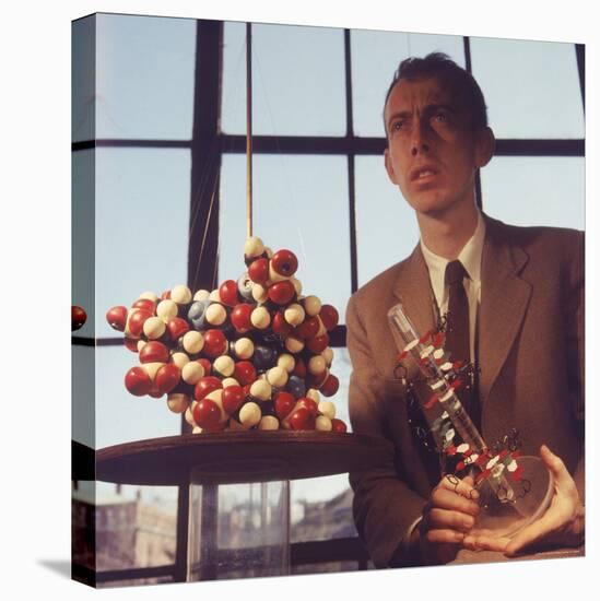 Pioneer Geneticist Biologist James Watson with Molecular Model of DNA-Andreas Feininger-Stretched Canvas