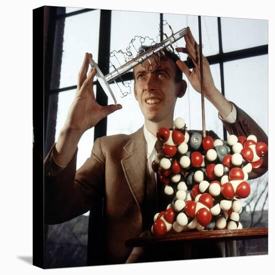 Pioneer Geneticist Biologist James Watson with Molecular Model of DNA-Andreas Feininger-Stretched Canvas