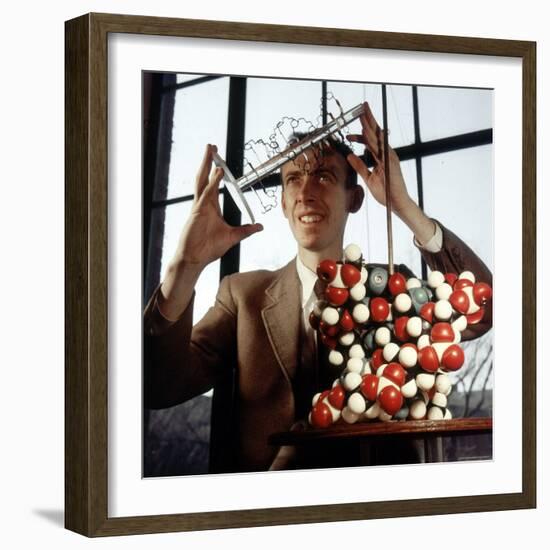 Pioneer Geneticist Biologist James Watson with Molecular Model of DNA-Andreas Feininger-Framed Premium Photographic Print