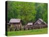 Pioneer Homestead, Great Smoky Mountains, North Carolina, USA-Adam Jones-Stretched Canvas