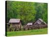 Pioneer Homestead, Great Smoky Mountains, North Carolina, USA-Adam Jones-Stretched Canvas