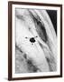 Pioneer Passing over Jupiter's Red Spot-null-Framed Photographic Print