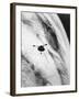 Pioneer Passing over Jupiter's Red Spot-null-Framed Photographic Print