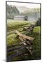 Pioneer's Barn, Split Rail Fence, Cades Cove, Great Smoky Mountains National Park, Tennessee, USA-null-Mounted Photographic Print