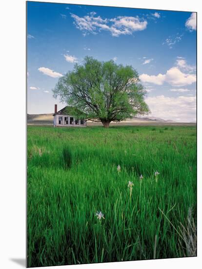 Pioneer School-Ike Leahy-Mounted Photographic Print