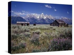 Pioneer Settlement at Jackson Hole-James Randklev-Stretched Canvas