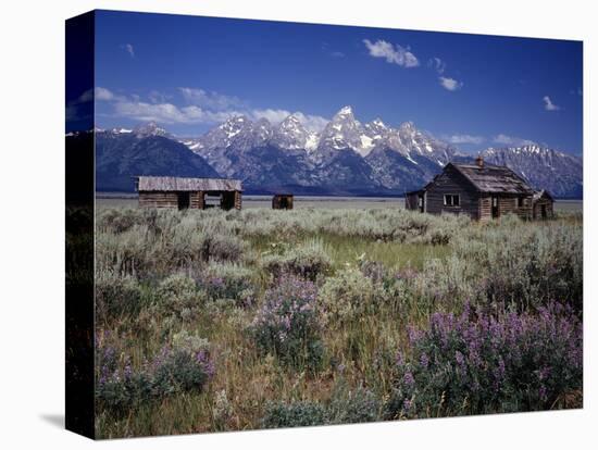 Pioneer Settlement at Jackson Hole-James Randklev-Stretched Canvas