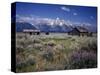 Pioneer Settlement at Jackson Hole-James Randklev-Stretched Canvas