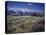 Pioneer Settlement at Jackson Hole-James Randklev-Stretched Canvas