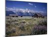 Pioneer Settlement at Jackson Hole-James Randklev-Mounted Photographic Print