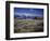 Pioneer Settlement at Jackson Hole-James Randklev-Framed Photographic Print