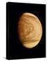 Pioneer Venus Image of Venusian Clouds-null-Stretched Canvas