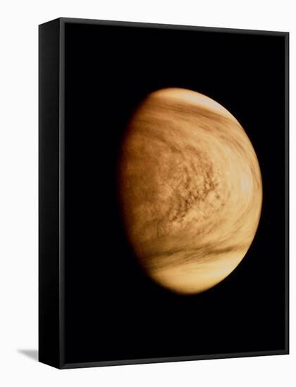 Pioneer Venus Image of Venusian Clouds-null-Framed Stretched Canvas