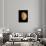 Pioneer Venus Image of Venusian Clouds-null-Photographic Print displayed on a wall