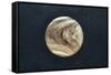 Pioneer-Venus Photo of Venus Showing Cloud Cover-null-Framed Stretched Canvas