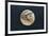 Pioneer-Venus Photo of Venus Showing Cloud Cover-null-Framed Photographic Print