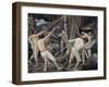 Pioneers in Karelia-Pekka Halonen-Framed Giclee Print