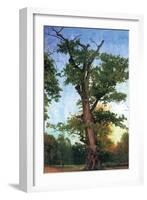 Pioneers of The Forest-Albert Bierstadt-Framed Art Print