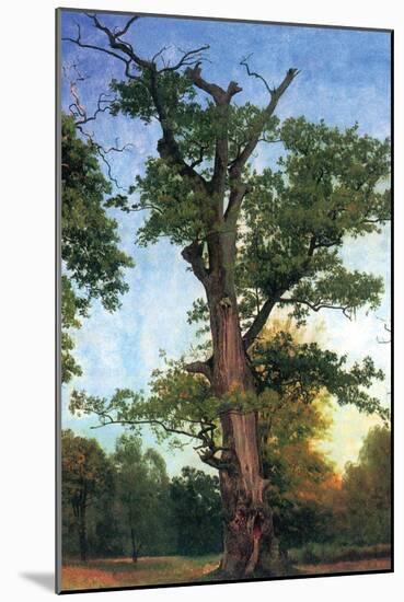 Pioneers of The Forest-Albert Bierstadt-Mounted Art Print