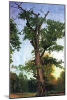 Pioneers of The Forest-Albert Bierstadt-Mounted Art Print