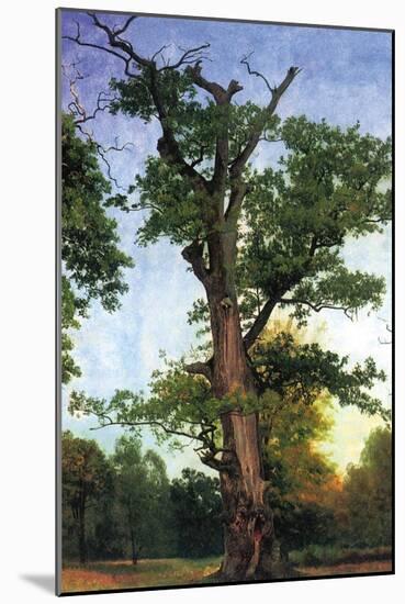 Pioneers of The Forest-Albert Bierstadt-Mounted Art Print