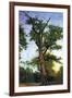 Pioneers of The Forest-Albert Bierstadt-Framed Art Print