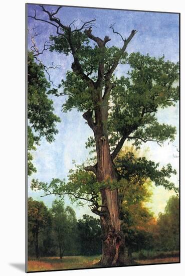 Pioneers of The Forest-Albert Bierstadt-Mounted Art Print