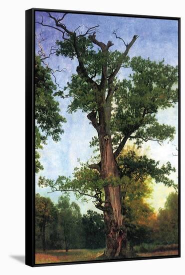 Pioneers of The Forest-Albert Bierstadt-Framed Stretched Canvas