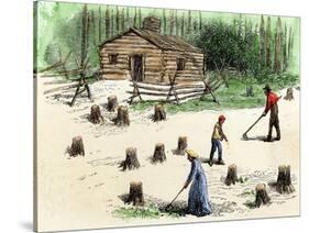 Pioneers Planting Corn on Newly Cleared Land in the Backwoods-null-Stretched Canvas