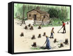 Pioneers Planting Corn on Newly Cleared Land in the Backwoods-null-Framed Stretched Canvas