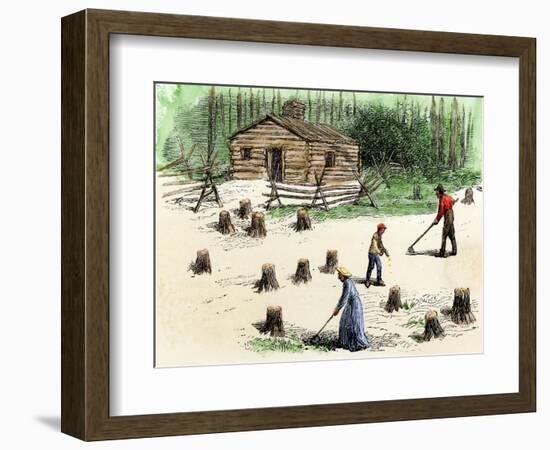 Pioneers Planting Corn on Newly Cleared Land in the Backwoods-null-Framed Giclee Print