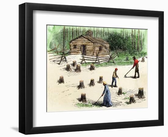 Pioneers Planting Corn on Newly Cleared Land in the Backwoods-null-Framed Giclee Print