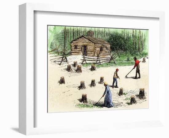 Pioneers Planting Corn on Newly Cleared Land in the Backwoods-null-Framed Giclee Print