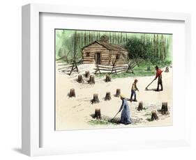 Pioneers Planting Corn on Newly Cleared Land in the Backwoods-null-Framed Giclee Print