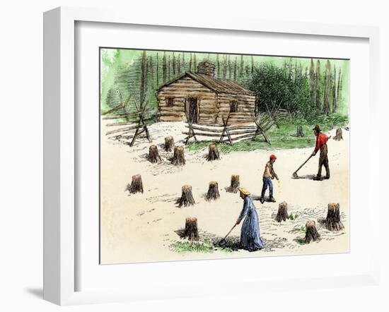 Pioneers Planting Corn on Newly Cleared Land in the Backwoods-null-Framed Giclee Print