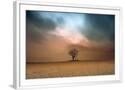 Chelsea White