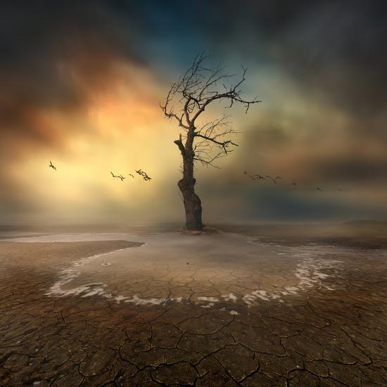 Photographic Print, , large