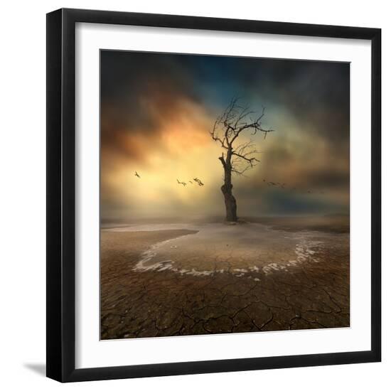 Photographic Print, , large