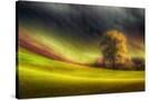 Stretched Canvas