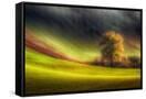 Canvas Black