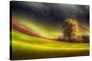 Stretched Canvas
