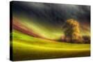 Stretched Canvas
